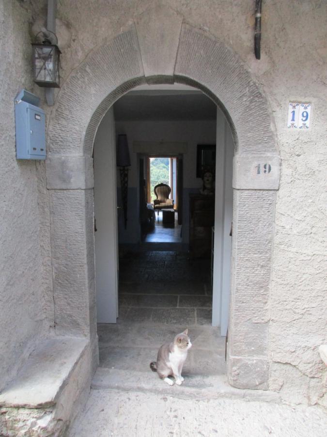 Bed and Breakfast Viandanti, Artisti E Sognatori Comano  Exterior foto